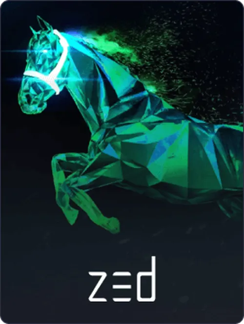Zed Run Card Image