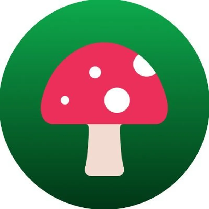 Wonder Game - Wonder Game Collection